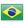 Portuguese Brasil